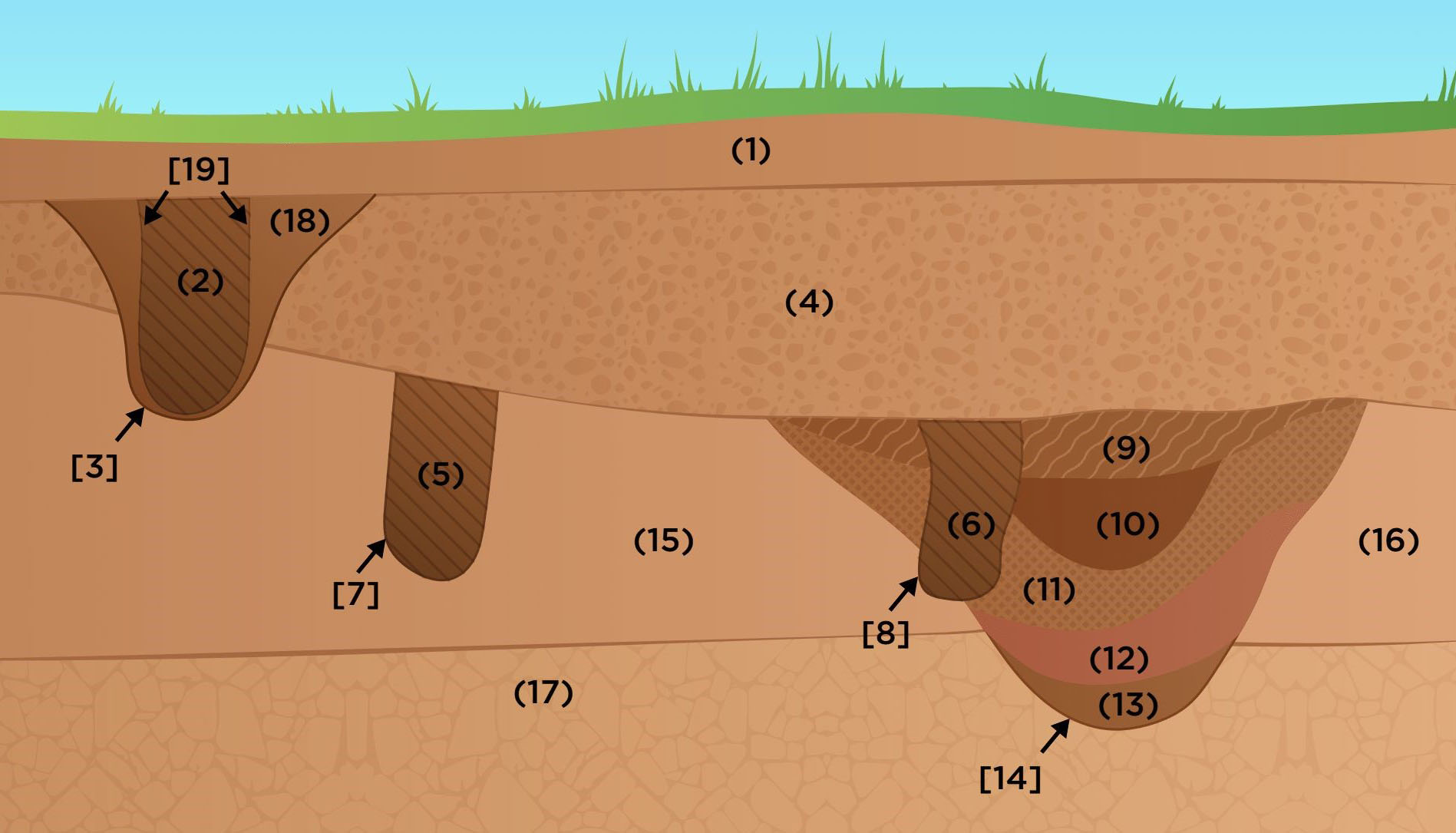 A graphical illustration showing archaeological layers in section below the ground..