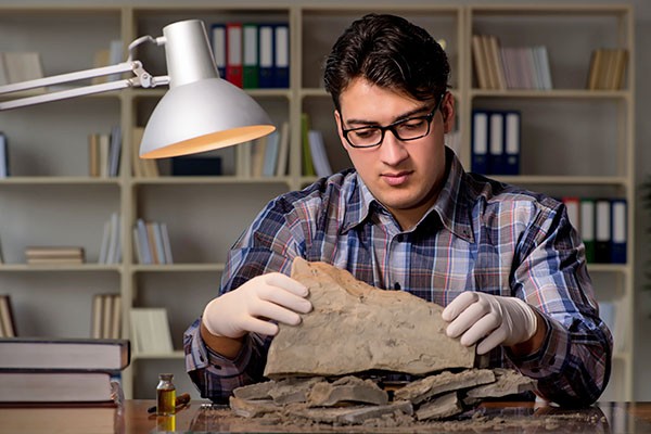 An archaeologist works with a find