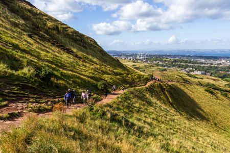 Hollyrood Park trail
