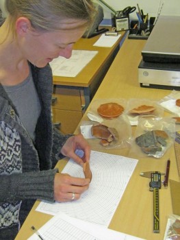 A finds specialist measures pottery rims on a chart.