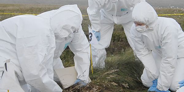 Forensic archaeologists in white protective suits kneel in a moorland landscape.